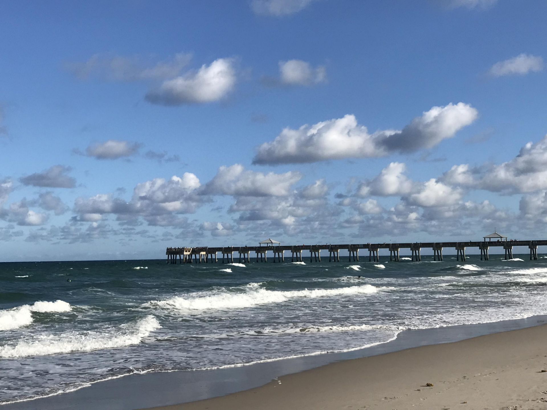 339 Timberwalk Trail, Jupiter, FL 33458 Photo