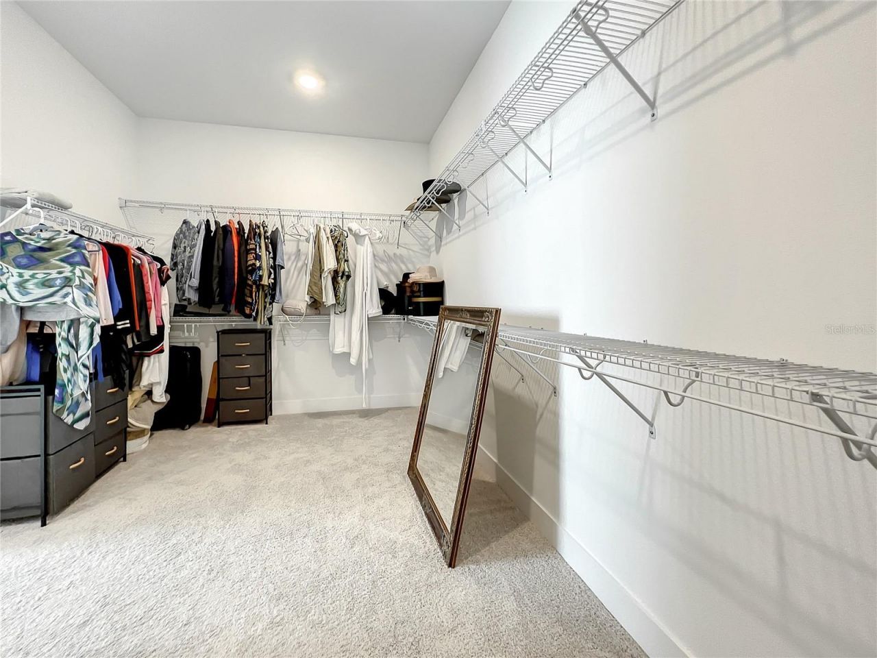 8859 Ivy Stark Boulevard , Wesley Chapel, FL 33545 Photo