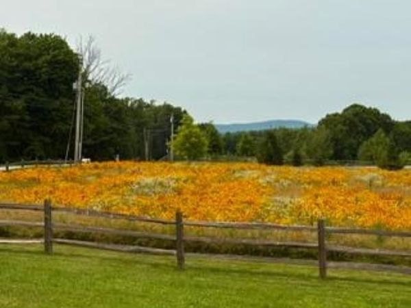 14A 16-4 Ashby Road, New Ipswich, NH 03071