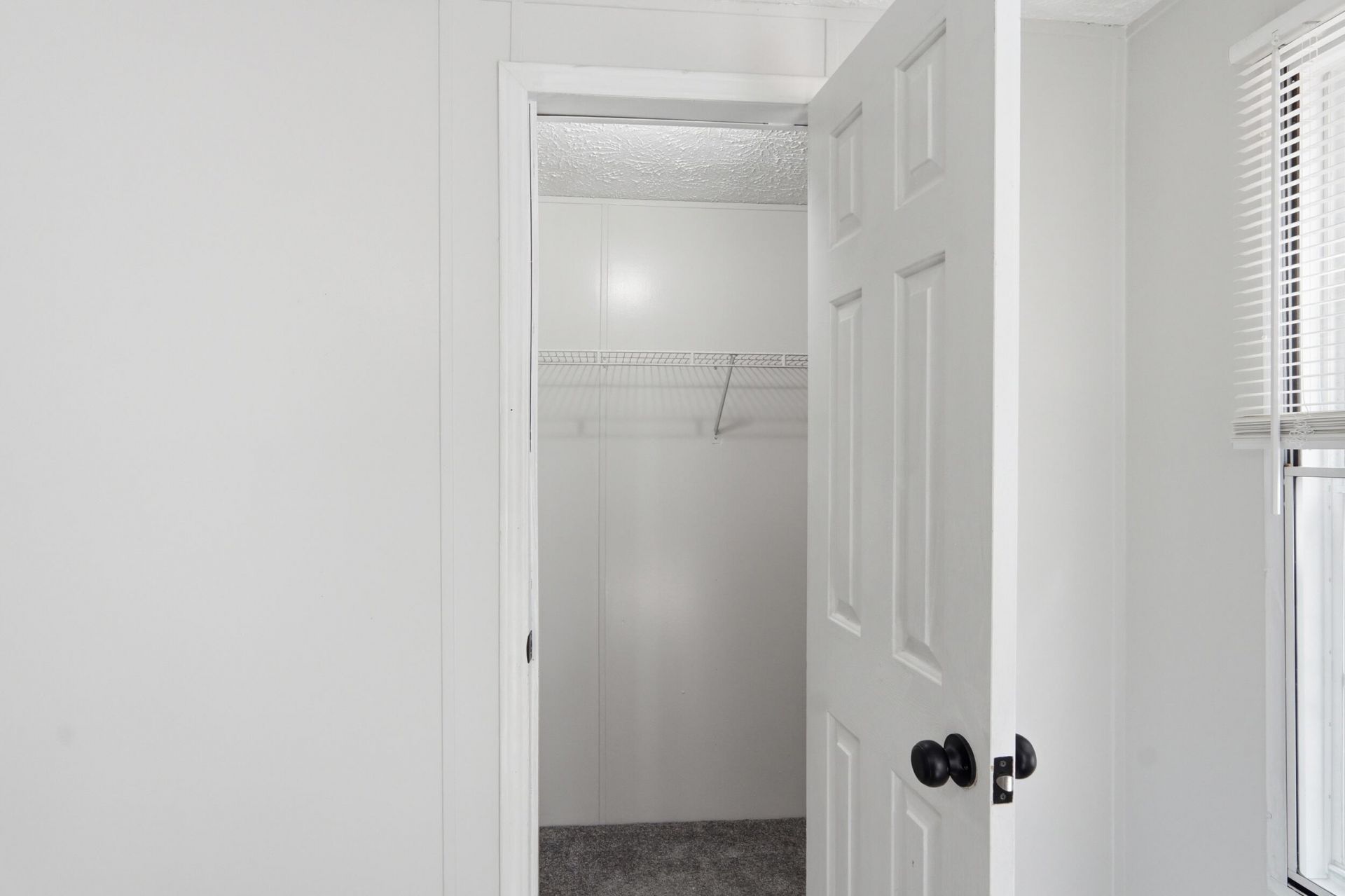 244 Vanihayn Drive Photo 18