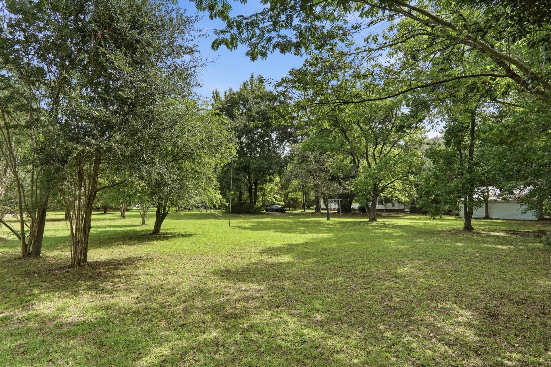 244 Vanihayn Drive Photo 50