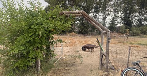 651 Highway 208, Yerington, NV 89447 Photo