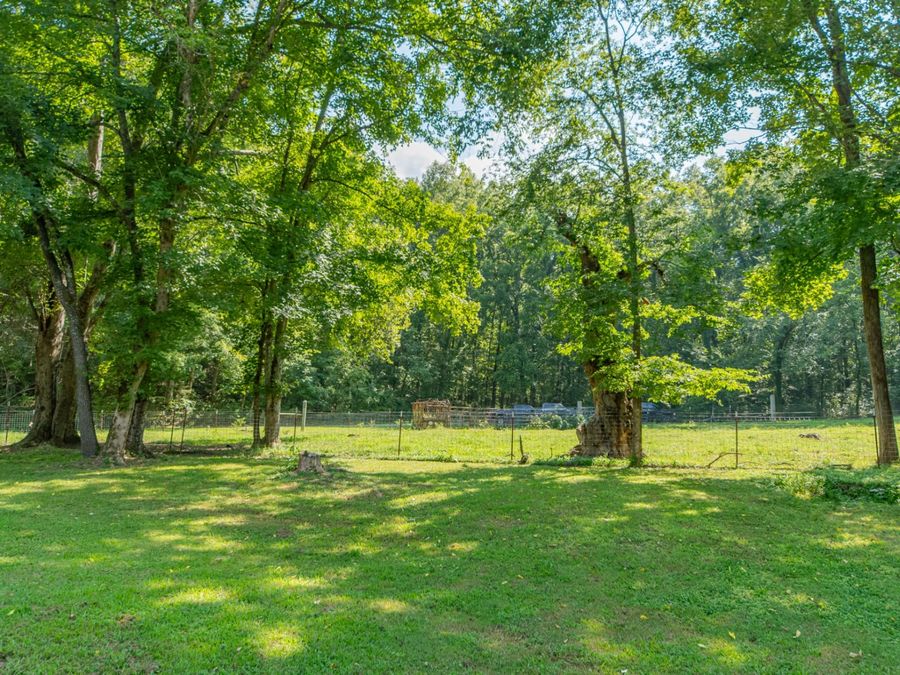 Property Image 61