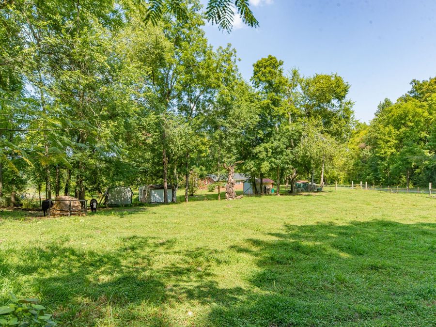 Property Image 74