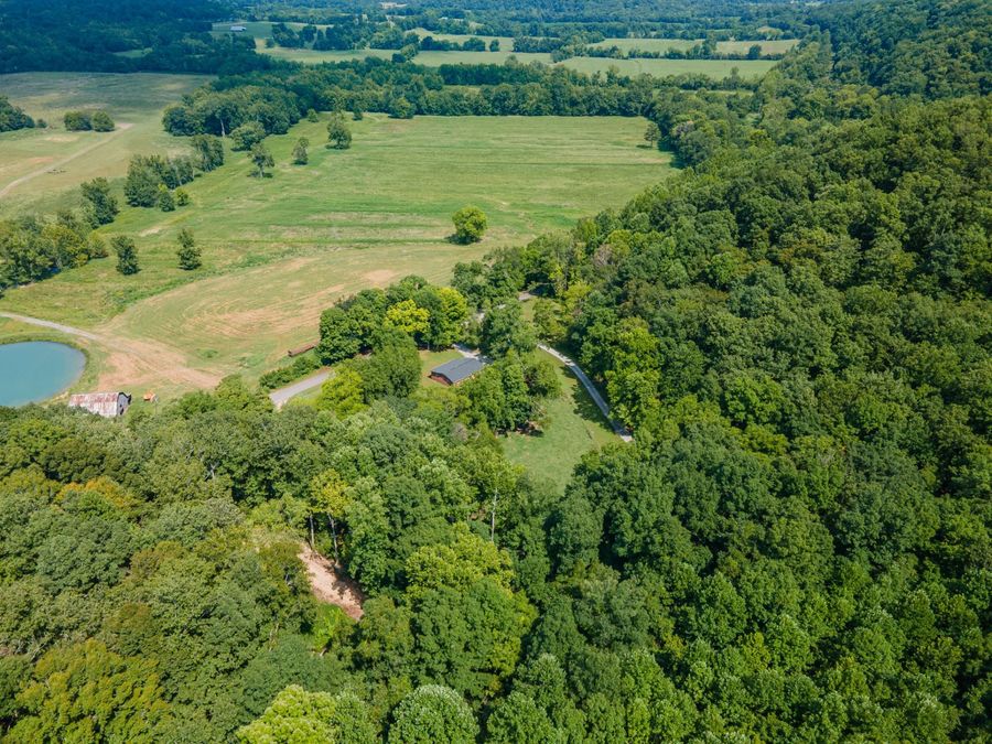 Property Image 98