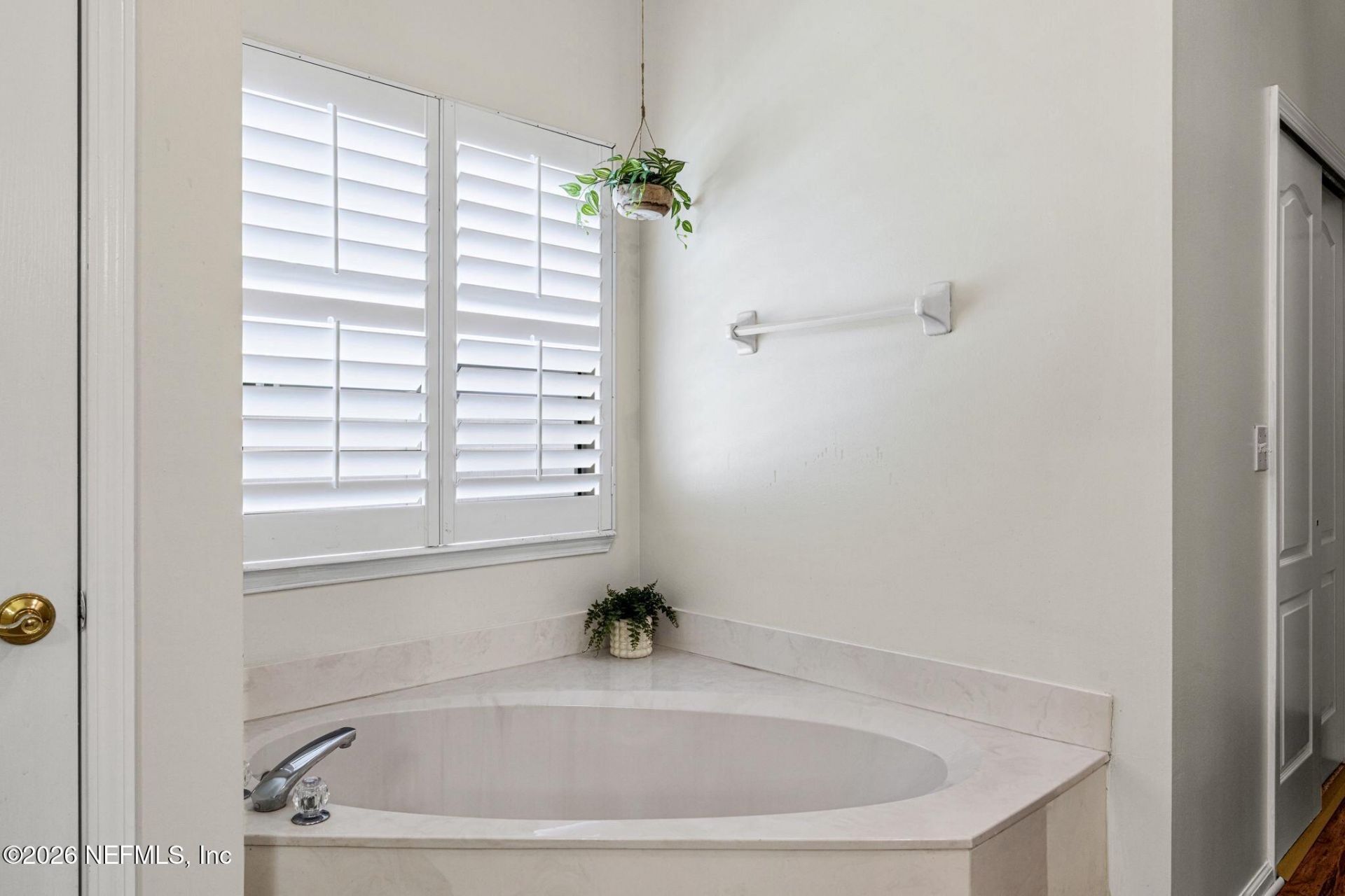 803 Stallion Way, Orange Park, FL 32065 Photo