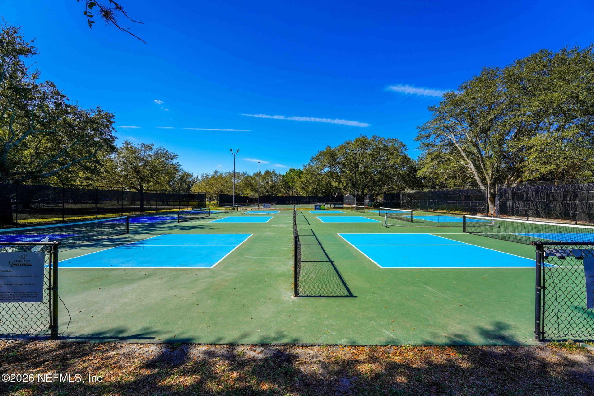 803 Stallion Way, Orange Park, FL 32065 Photo