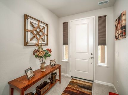 2329 Seaberry Drive, , NV 89441 Photo