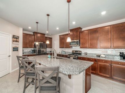 2329 Seaberry Drive, , NV 89441 Photo