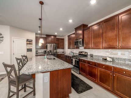 2329 Seaberry Drive, , NV 89441 Photo