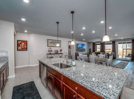2329 Seaberry Drive, , NV 89441 Photo