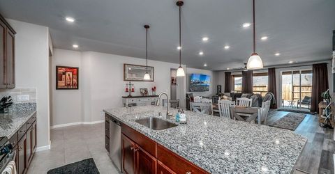 2329 Seaberry Drive, , NV 89441 Photo