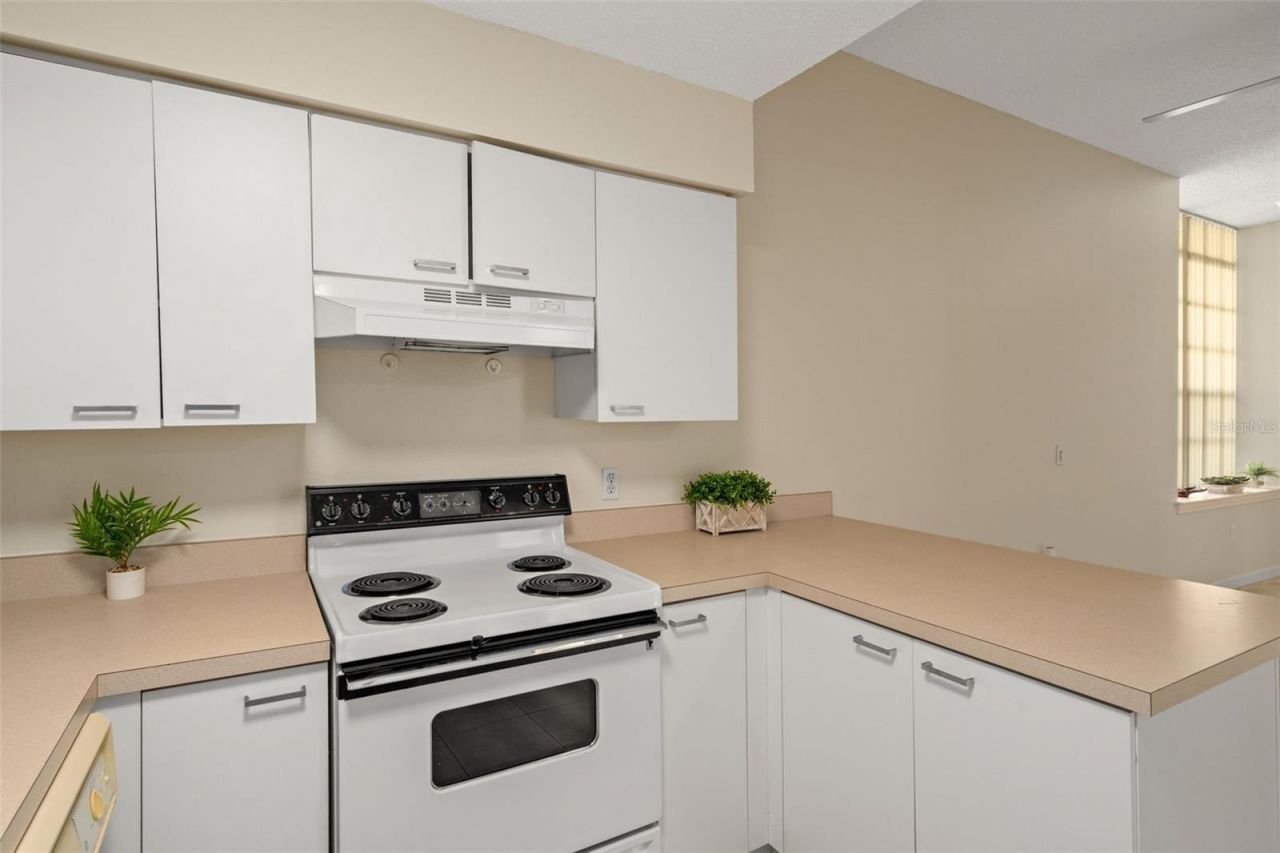 701 Mirror Lake Drive N, Unit 102, Saint Petersburg, FL 33701 Photo