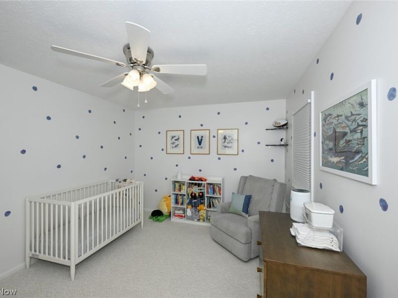 7956 Orianna Street, Brecksville, OH 44141 Photo 39