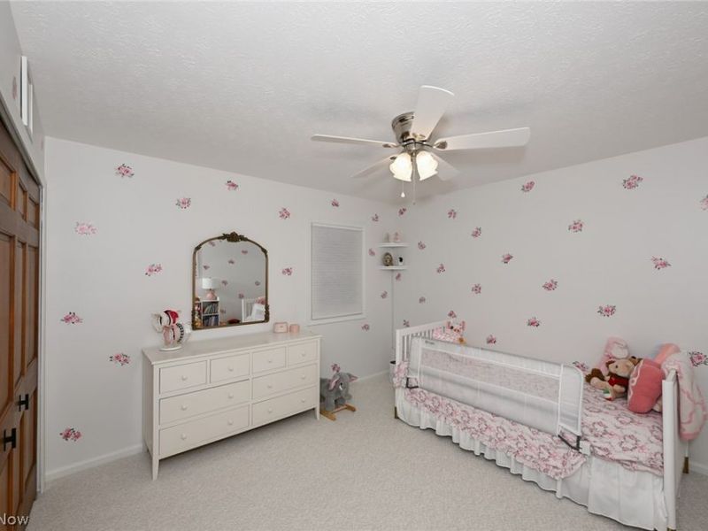 7956 Orianna Street, Brecksville, OH 44141 Photo 40