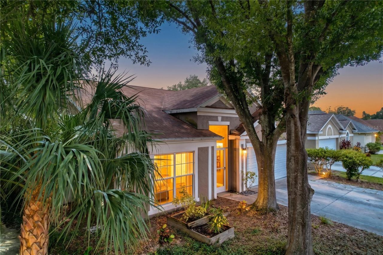 11109 Bramblebrush Street, Tampa, FL 33624 Photo