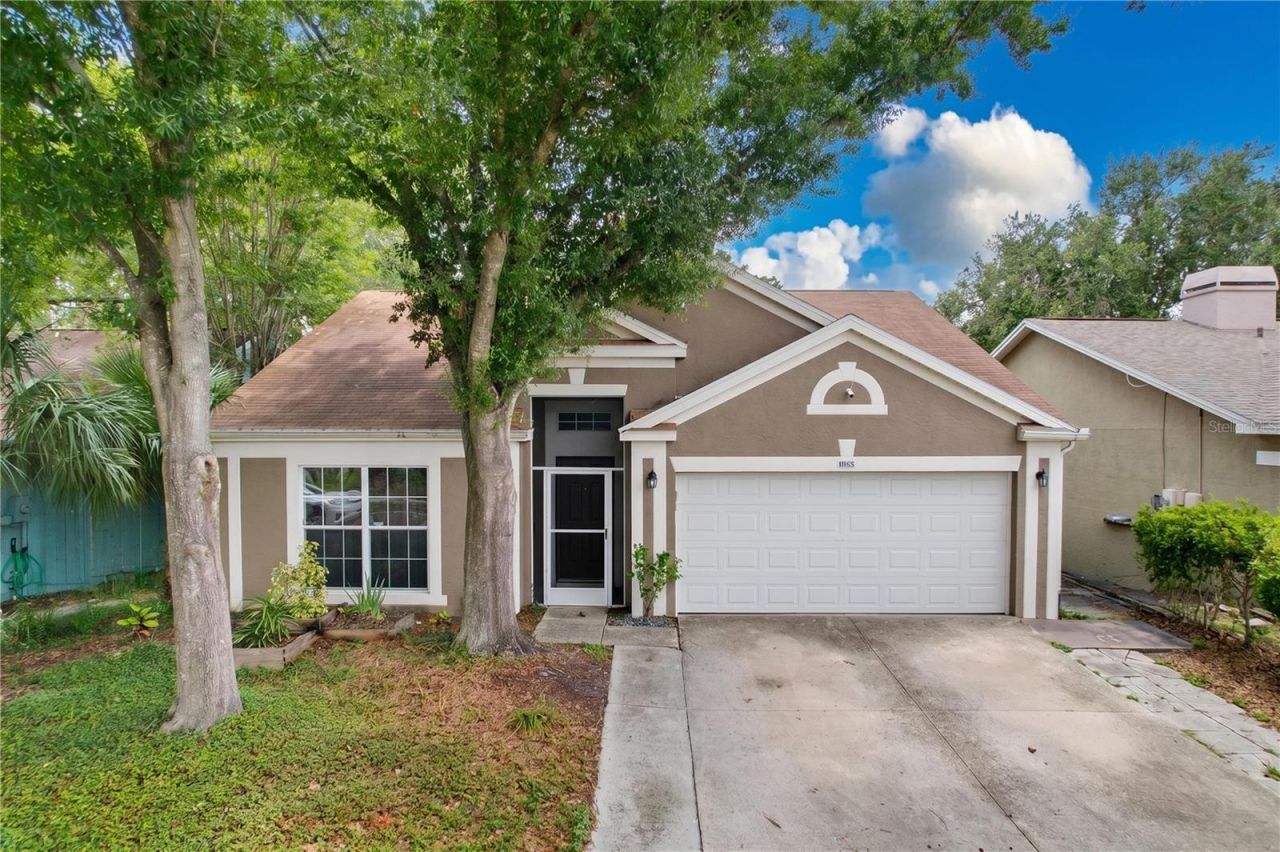 11109 Bramblebrush Street, Tampa, FL 33624 Photo