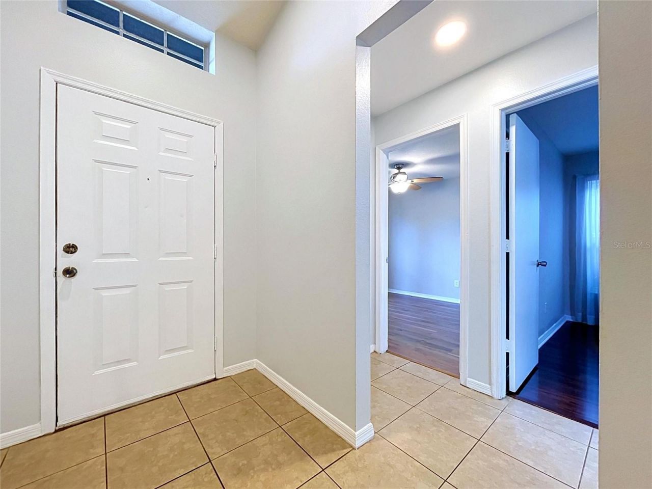11109 Bramblebrush Street, Tampa, FL 33624 Photo