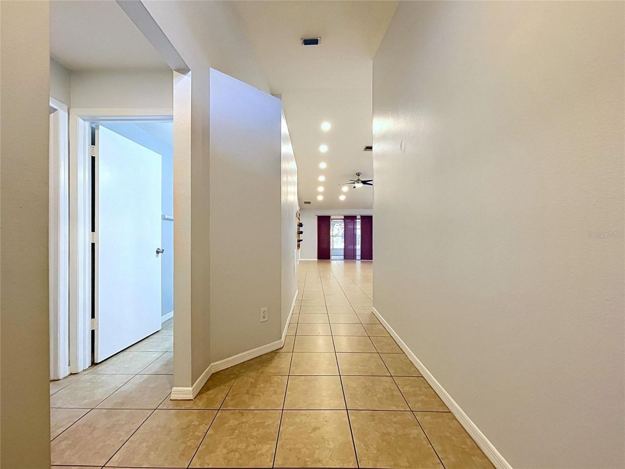 11109 Bramblebrush Street, Tampa, FL 33624 Photo