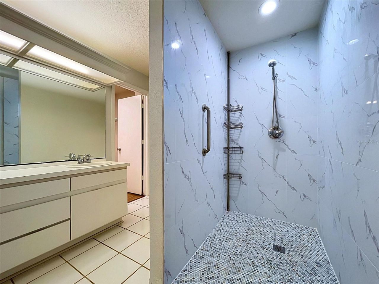 11109 Bramblebrush Street, Tampa, FL 33624 Photo
