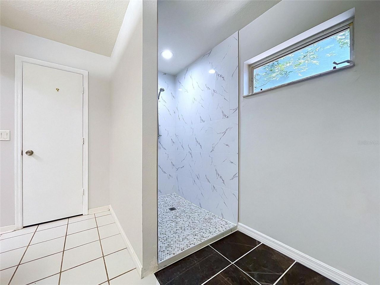 11109 Bramblebrush Street, Tampa, FL 33624 Photo