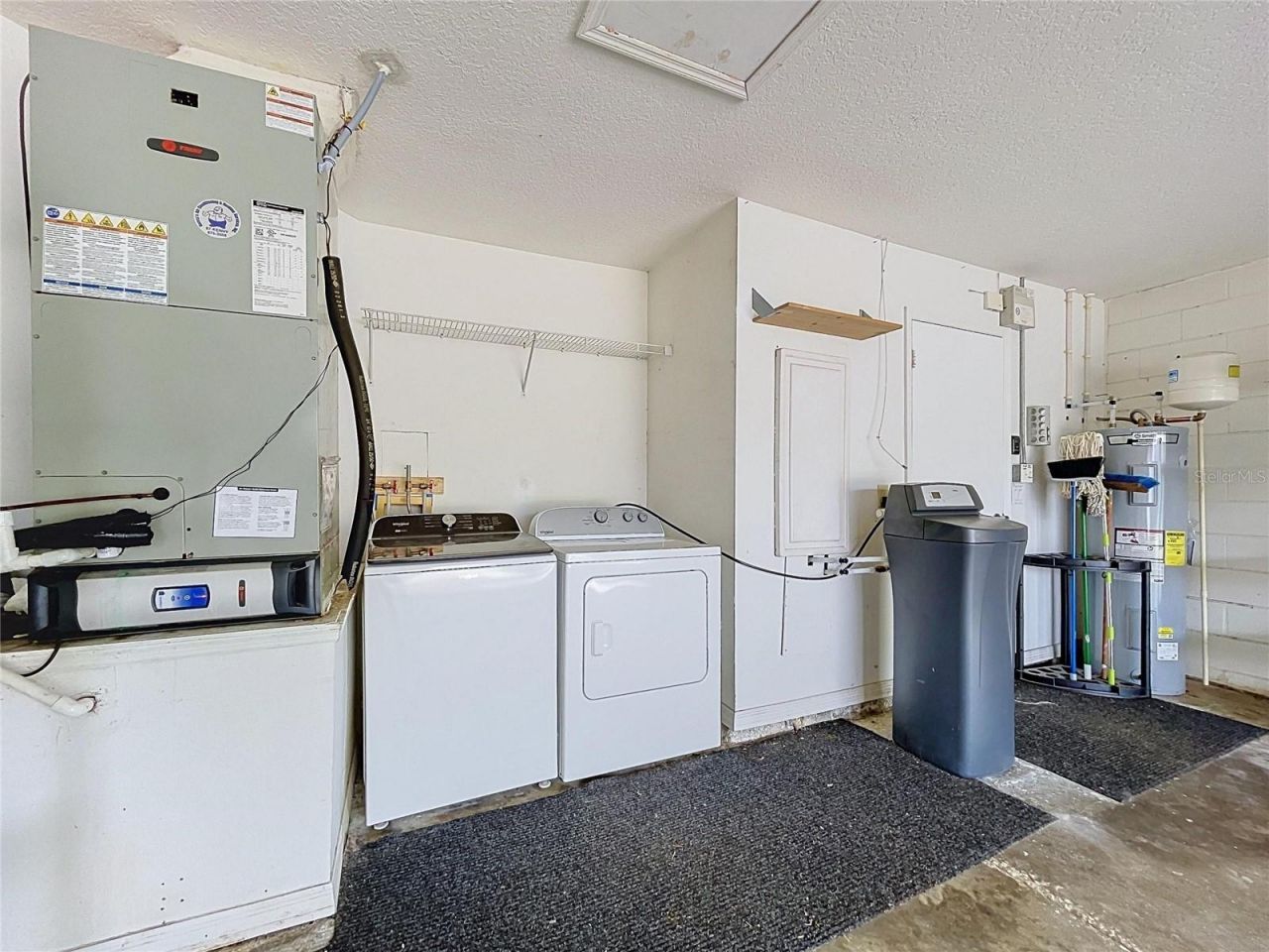 11109 Bramblebrush Street, Tampa, FL 33624 Photo
