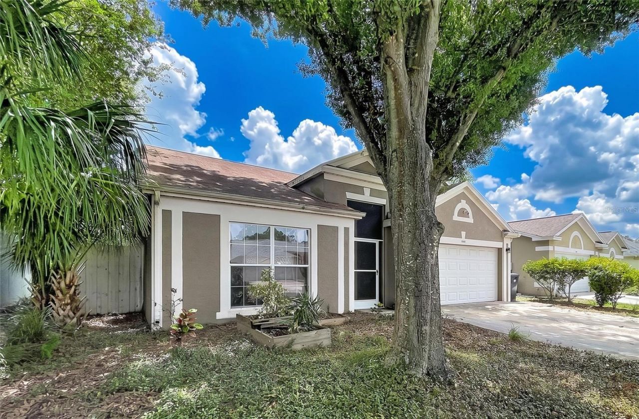 11109 Bramblebrush Street, Tampa, FL 33624 Photo