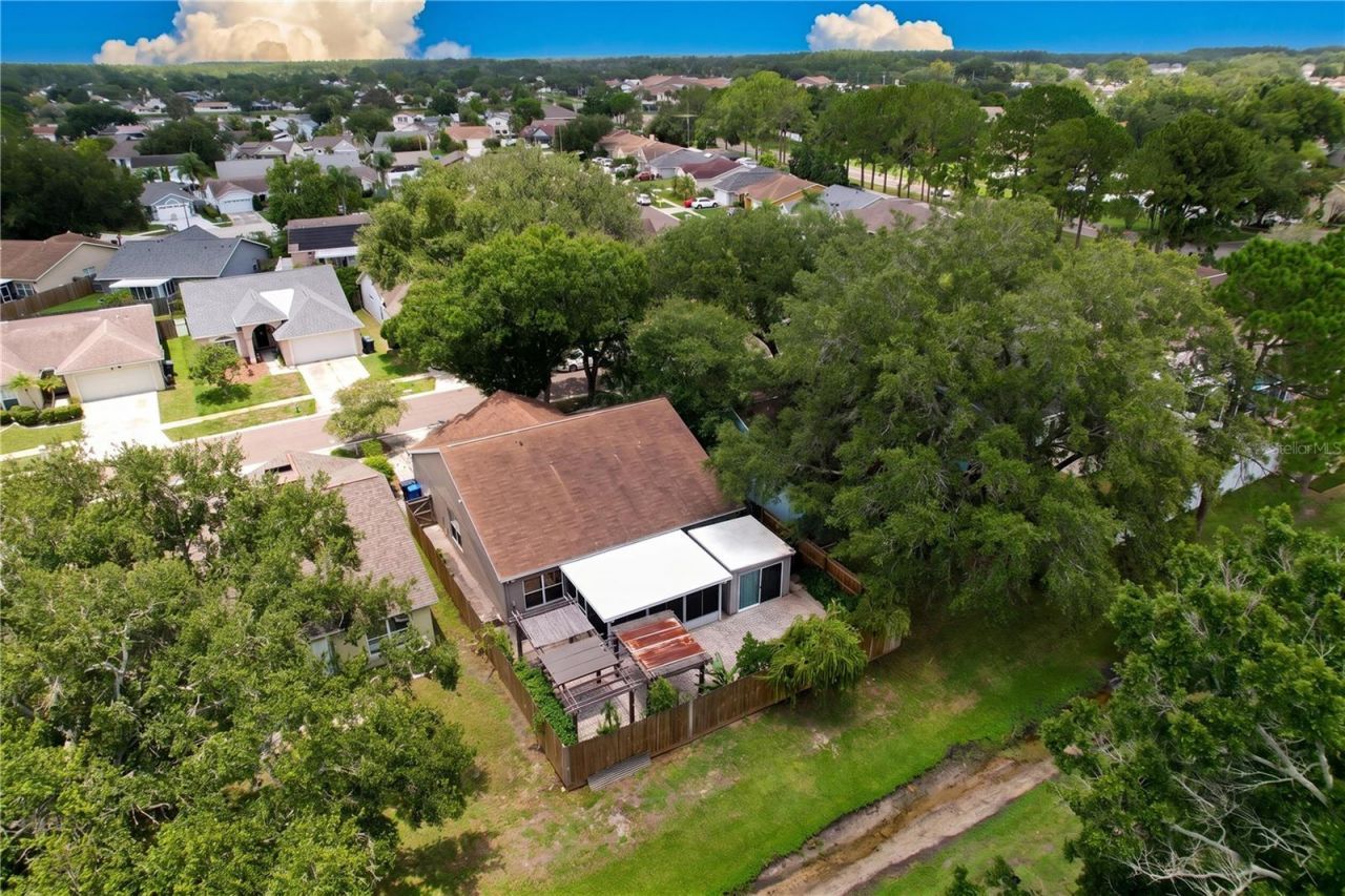 11109 Bramblebrush Street, Tampa, FL 33624 Photo
