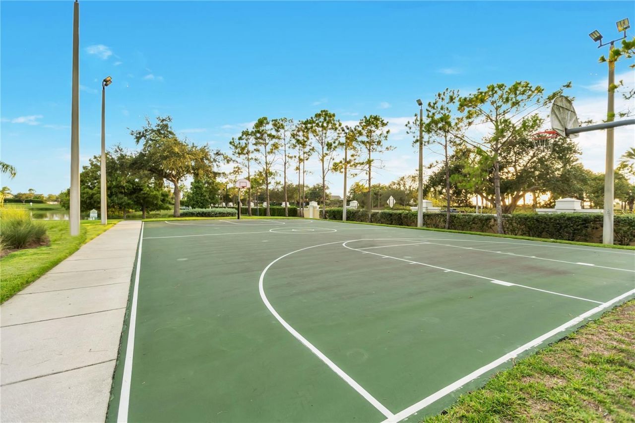 5331 Sandy Shell Drive, Apollo Beach, FL 33572 Photo