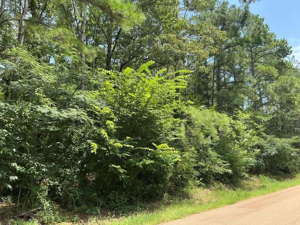 72 Cr 160, Oxford, MS 38655