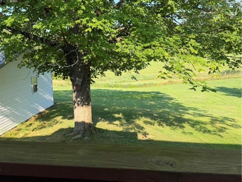 211 Green Street, Woodsfield, OH 43793 Photo 6