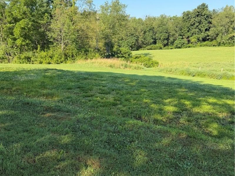 211 Green Street, Woodsfield, OH 43793 Photo 8