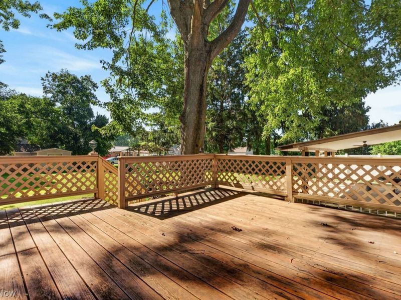 114 S Leavitt Road S, Amherst, OH 44001 Photo 34