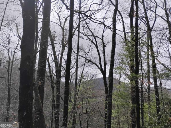 0 LOT 289 Cobblewood Trail, Sky Valley, GA 30537