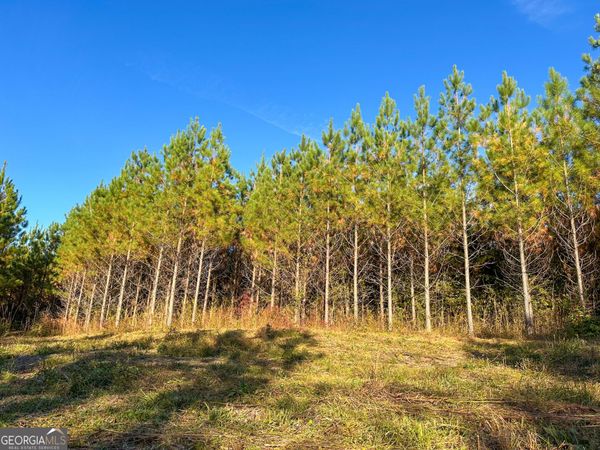49.2 ACRES Jordon Road, Waverly Hall, GA 31831