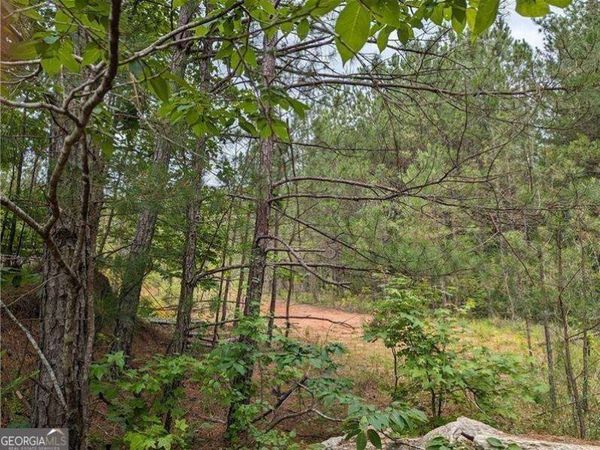 7900 Downs Road, Winston, GA 30187