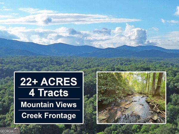 1720 Mt Springer Road, Ellijay, GA 30540