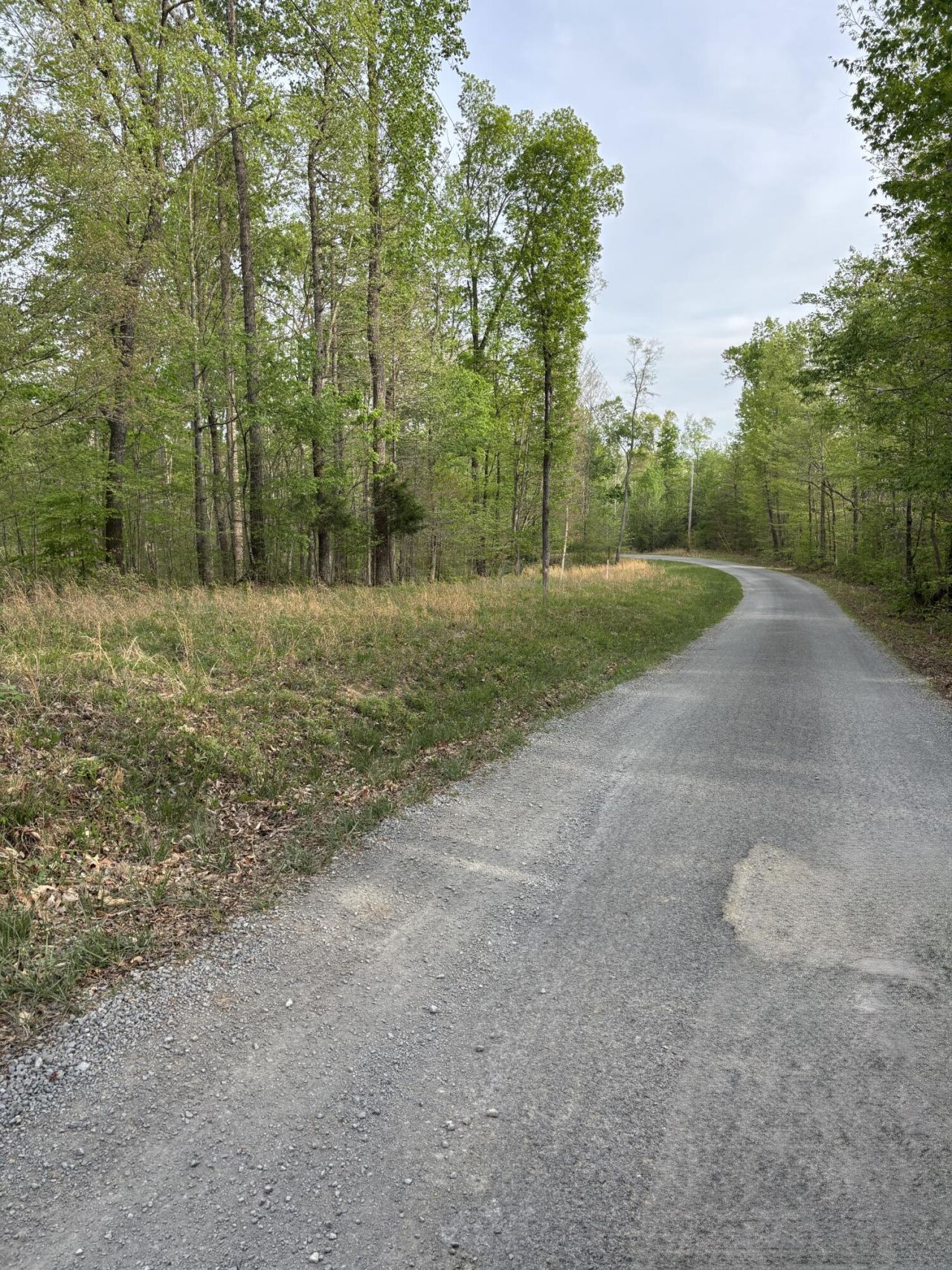 Lot 22 Campbell Road, Nancy, KY 42544 Main Photo