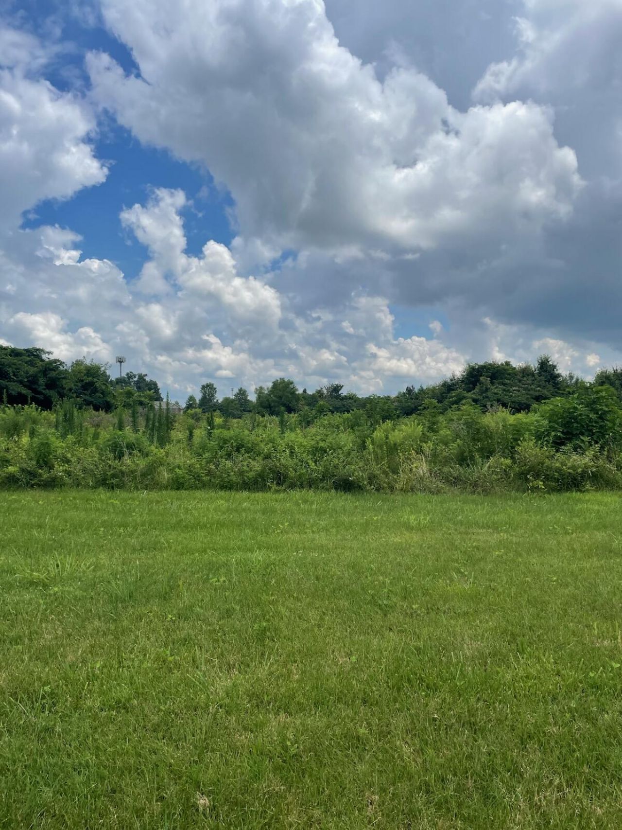 3160 New Holt Road, Paducah, KY 42001 Main Photo
