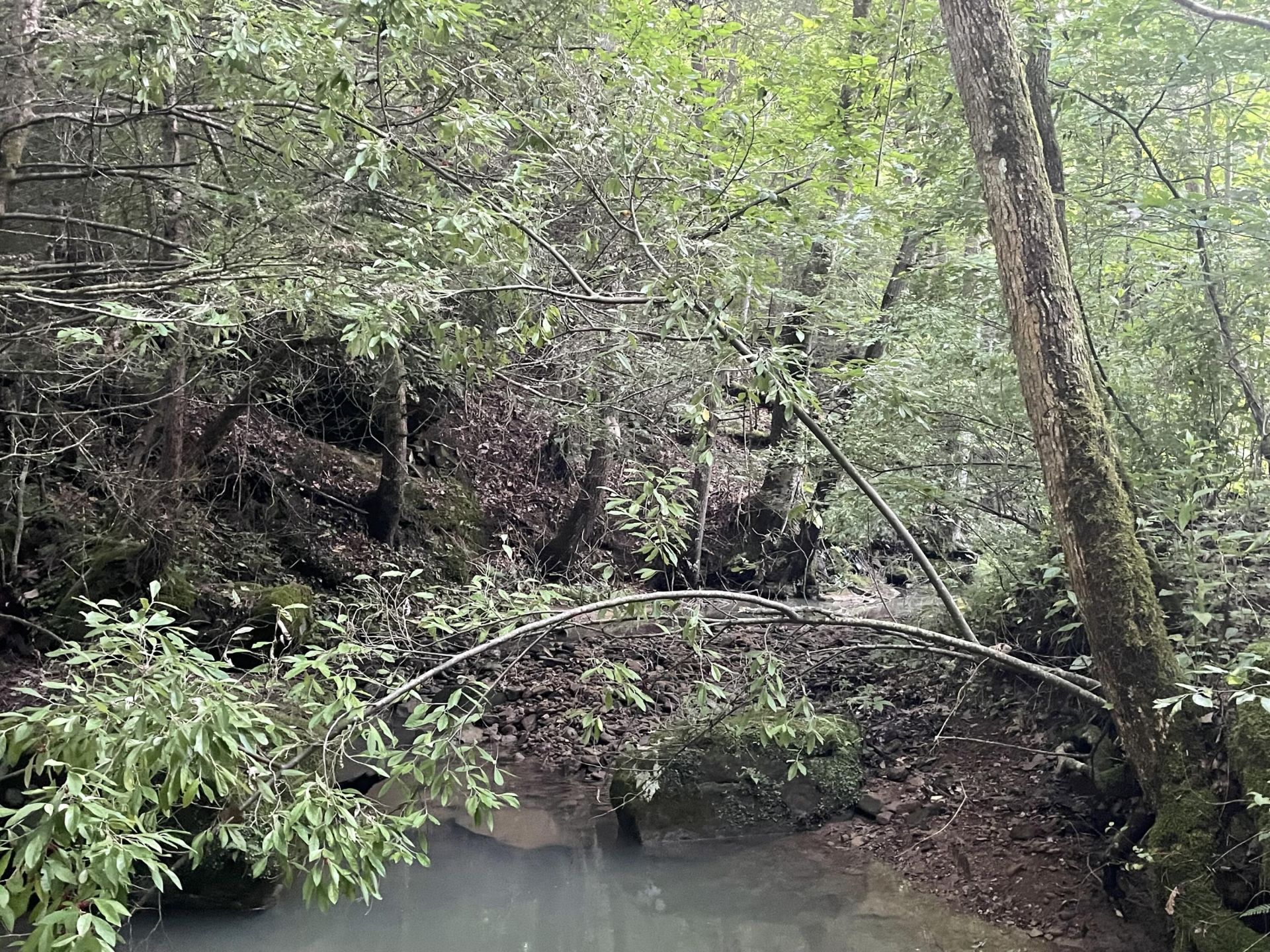 0 CR-1127 , Strunk, KY 42649