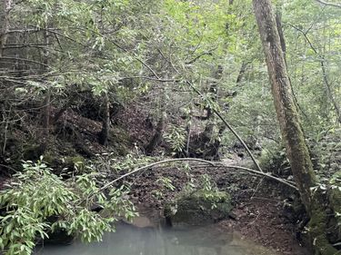 0 Little Rock Creek Road, Strunk, KY 42649