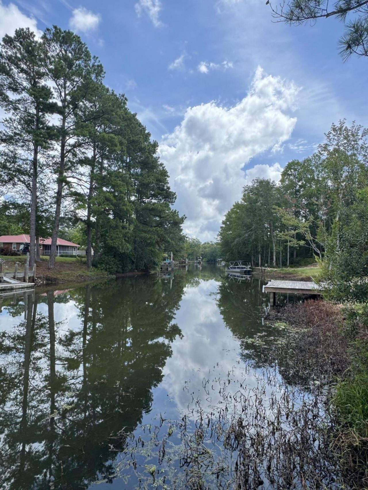 1609 Hudson Road Photo 5