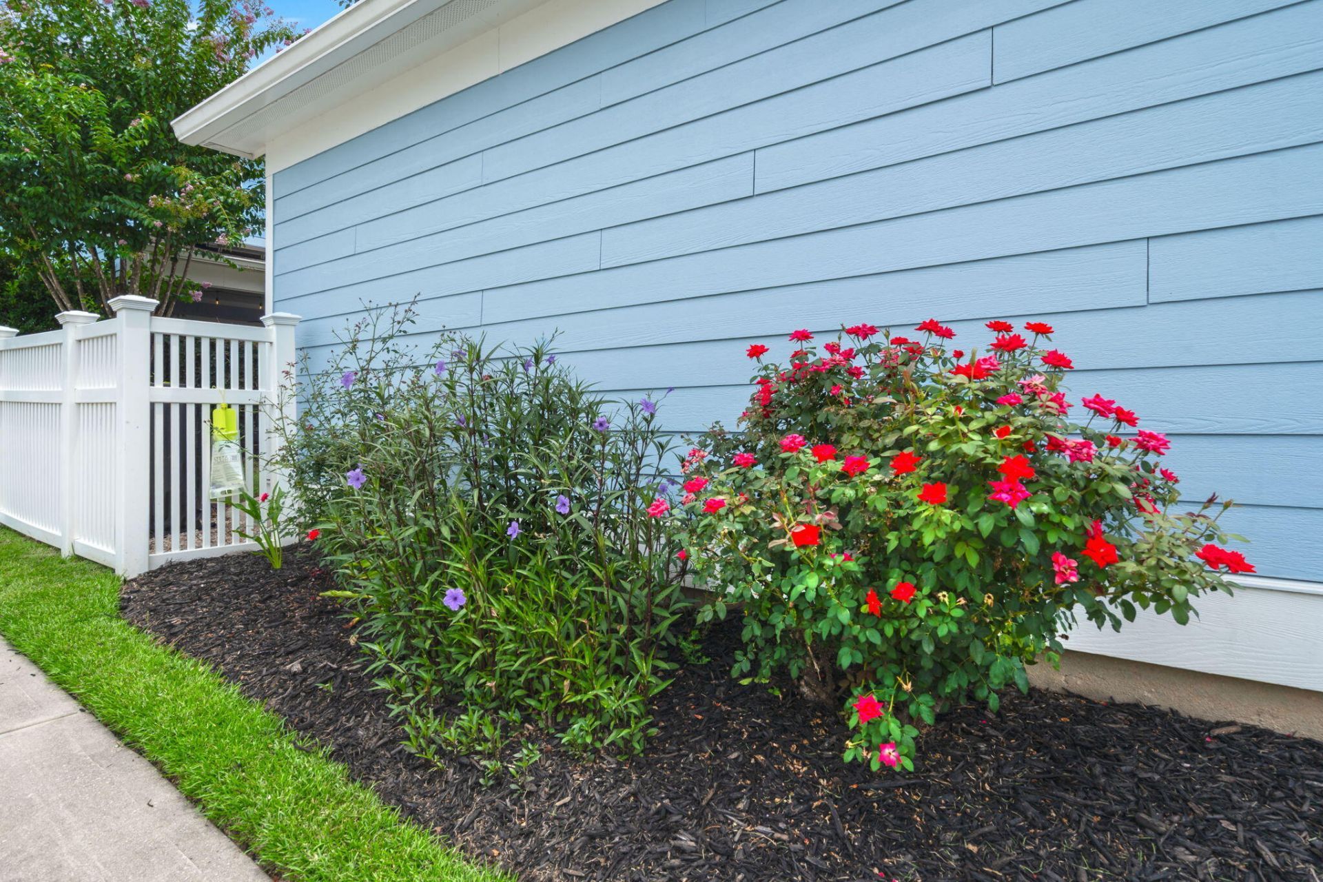 313 Forsythia Avenue Photo 54
