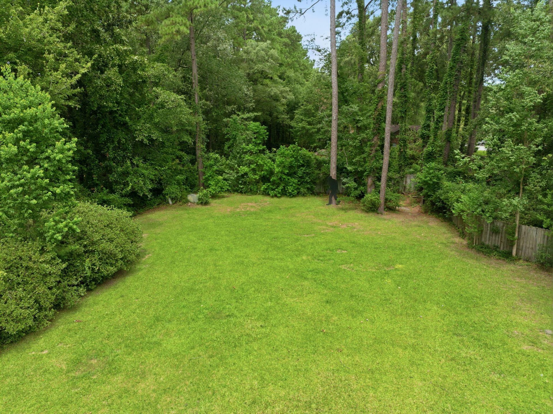 1009 Thoroughbred Court Photo 43