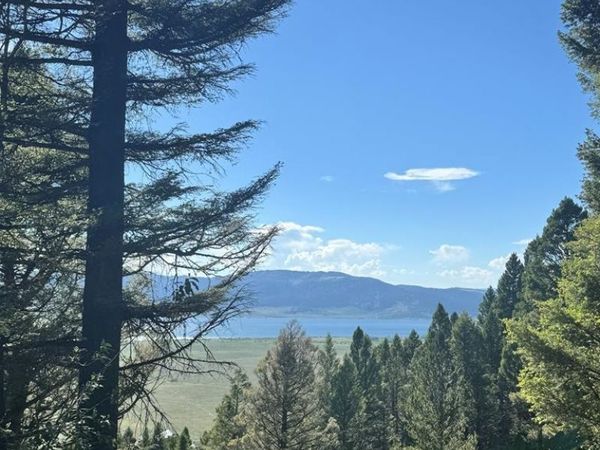 TBD Strobel Drive, ISLAND PARK, ID 83429