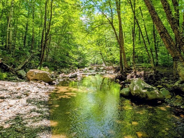 Lot 42 Beech Hill Road , Madrid Twp, ME 04966