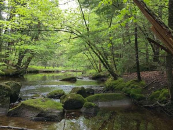 384 Austin Street , Westbrook, ME 04092