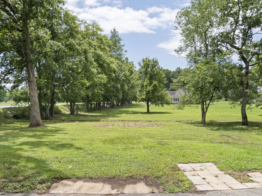 Property Image 64