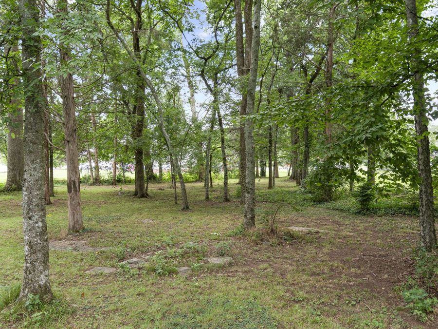 Property Image 72