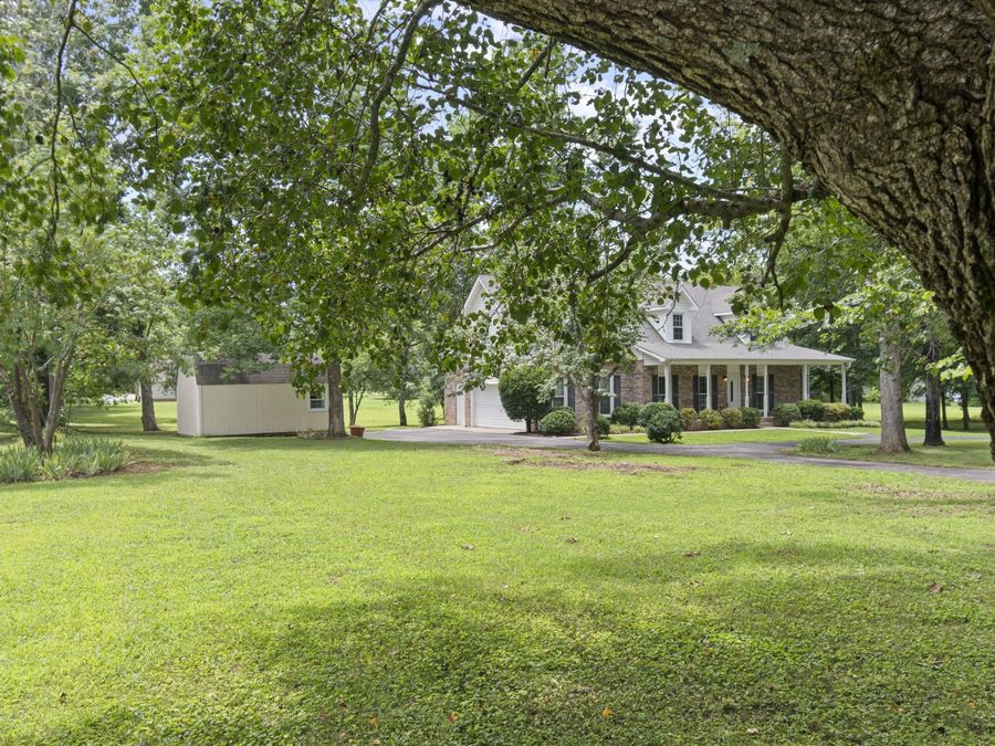 Property Image 83
